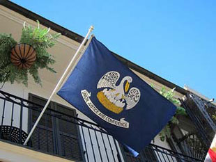 louisiana state flag