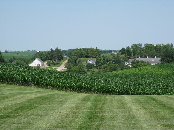 Farm and cornfield in the Iowa countryside