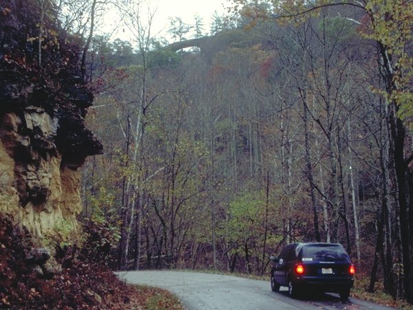 Car on a wooded country road in Kentucky