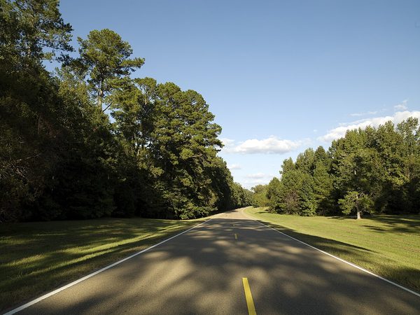 The Natchez Trace Parkway through woodland in Mississippi