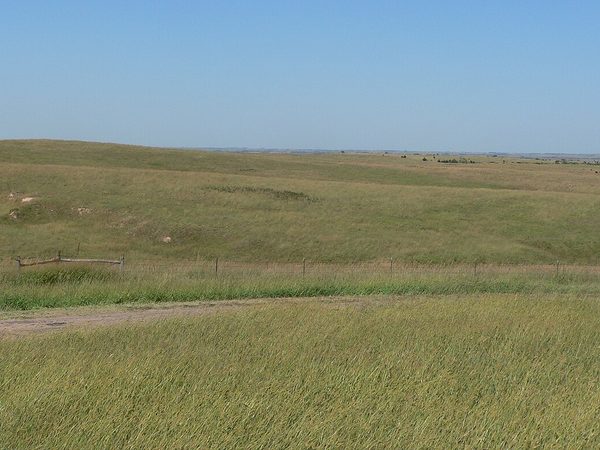 Tallgrass prairie at Willa Cather Memorial Prairie, Nebraska