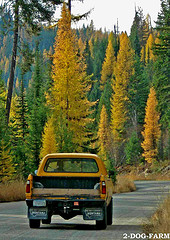 truck driving in country road